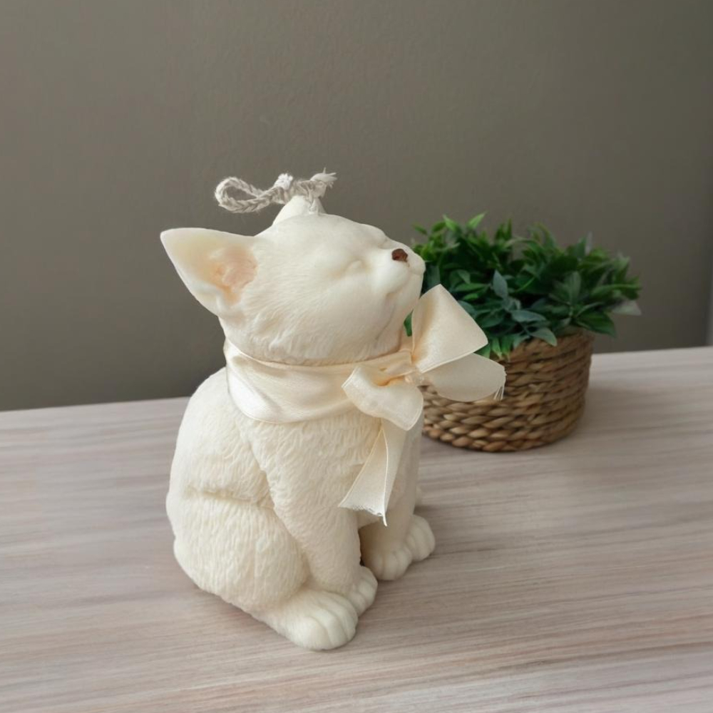 Lächeln Katze Silikonform für  – Soap Making Gifts Bewertung und Preis